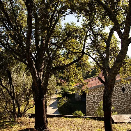 Bed & Breakfast Quinta Dos Sincais Guarda