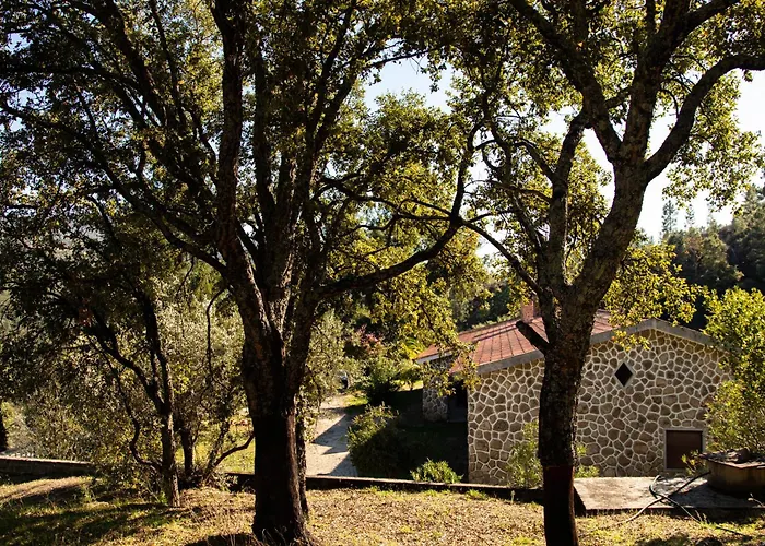 Couette-café Quinta Dos Sinçais Guarda