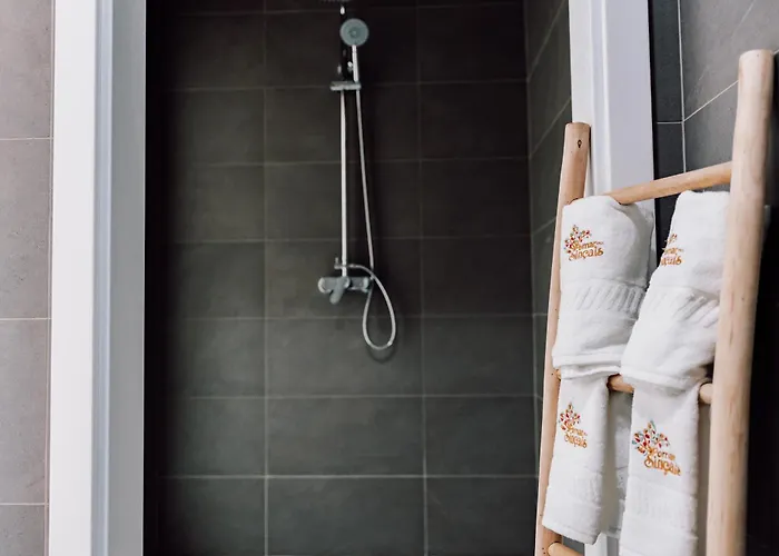 Quinta Dos Sinçais 3* Guarda