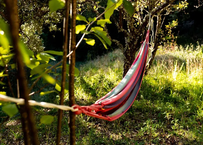 Quinta Dos Sinçais Couette-café Guarda